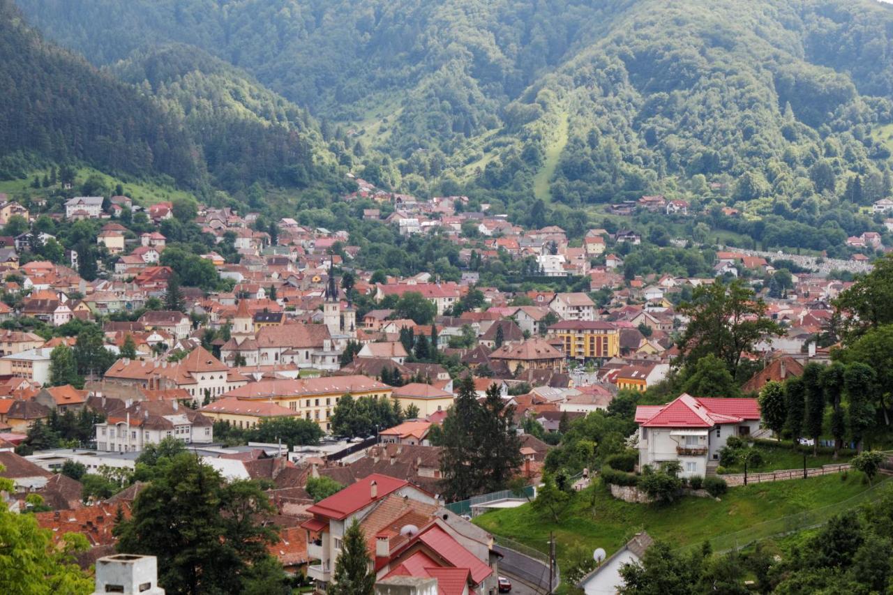 Pension Stejeris Brașov Exterior foto